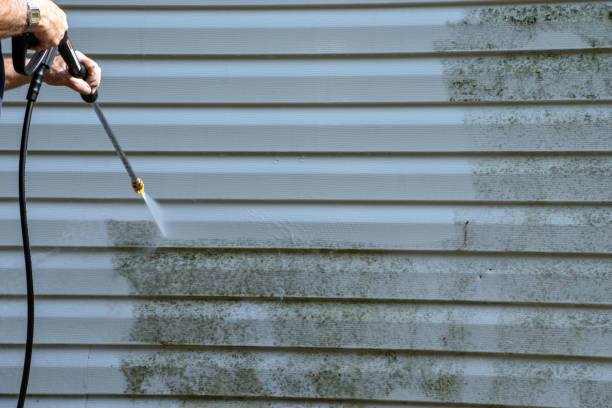 Best Basement Cleanout  in Pumpkin Center, NC
